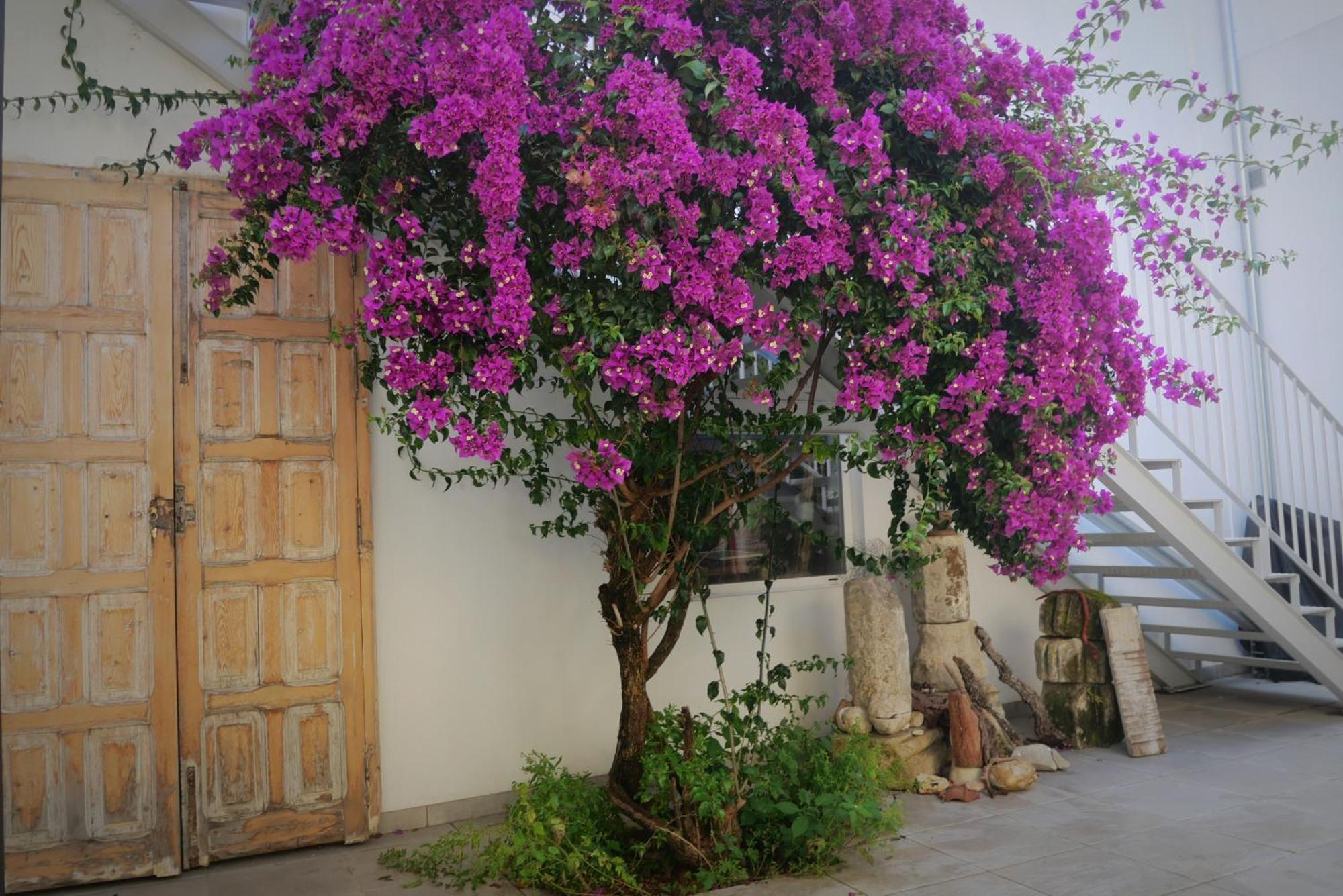 Casa De La Fra Jerez de la Frontera Exterior foto